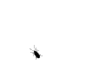 bugging